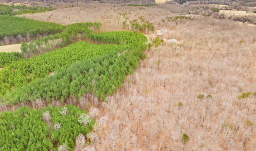 Photo #17 of SAMS RIDGE, CULPEPER, VA 3.0 acres