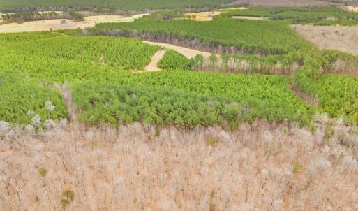 Photo #19 of SAMS RIDGE, CULPEPER, VA 3.0 acres