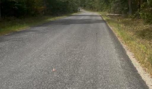 Photo #3 of LOG CABIN, BEAVERDAM, VA 3.2 acres