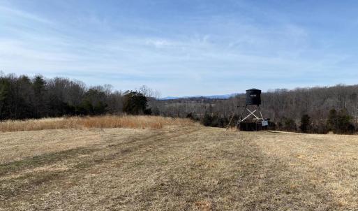 Photo #7 of WHITES FARM LN, CULPEPER, VA 46.3 acres