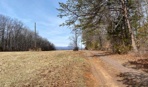 Photo #1 of 19197 WHITES FARM LN, CULPEPER, VA 46.3 acres