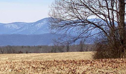 Photo #2 of 19197 WHITES FARM LN, CULPEPER, VA 46.3 acres