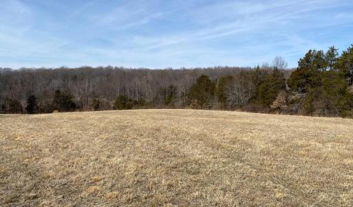 Photo #11 of 19197 WHITES FARM LN, CULPEPER, VA 46.3 acres