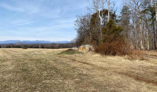 Photo #4 of 19197 WHITES FARM LN, CULPEPER, VA 46.3 acres