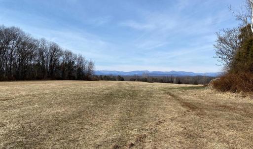 Photo #3 of 19197 WHITES FARM LN, CULPEPER, VA 46.3 acres