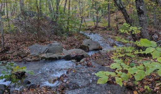 Photo #1 of PERRY LANE, LOVINGSTON, VA 5.0 acres