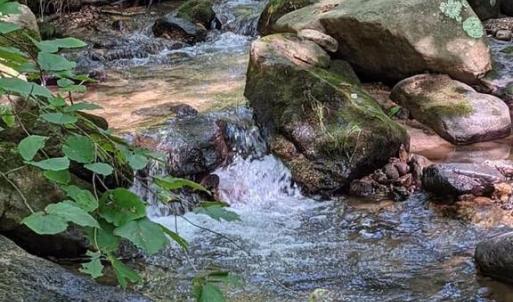 Photo #5 of PERRY LANE, LOVINGSTON, VA 5.0 acres