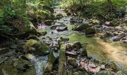 Photo #7 of PERRY LANE, LOVINGSTON, VA 5.0 acres