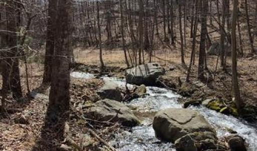 Photo #10 of PERRY LANE, LOVINGSTON, VA 5.0 acres