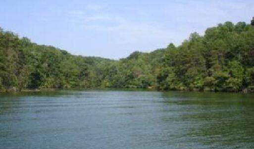 View from Lake back to shoreline of cove