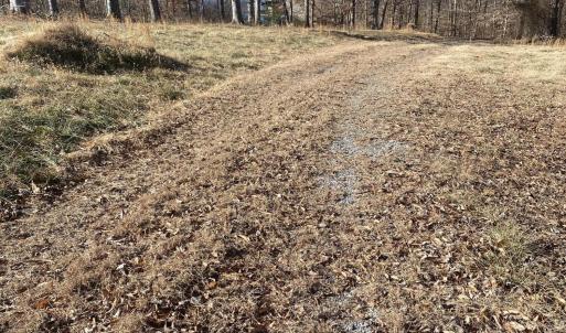 DRiveway on lot 12 beside lot 13