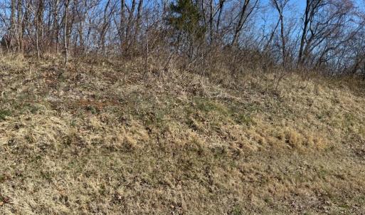 Photo #1 of COLONEL JAMESON BLVD, CULPEPER, VA 1.1 acres