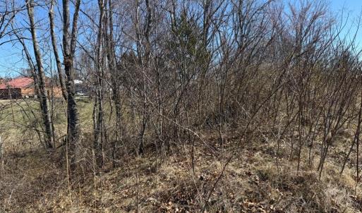 Photo #3 of COLONEL JAMESON BLVD, CULPEPER, VA 1.1 acres