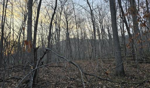 Photo #6 of THOROUGHFARE RD, CULPEPER, VA 3.7 acres