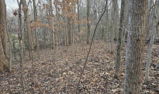 Photo #8 of THOROUGHFARE RD, CULPEPER, VA 3.7 acres