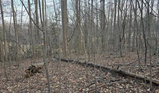 Photo #9 of THOROUGHFARE RD, CULPEPER, VA 3.7 acres