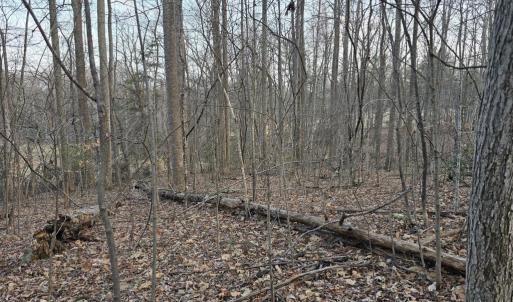 Photo #10 of THOROUGHFARE RD, CULPEPER, VA 3.7 acres