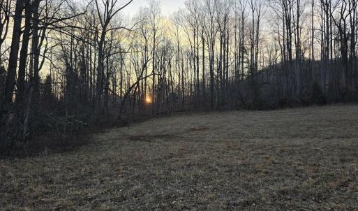 Photo #2 of THOROUGHFARE RD, CULPEPER, VA 3.7 acres
