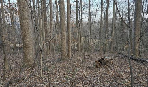 Photo #12 of THOROUGHFARE RD, CULPEPER, VA 3.7 acres