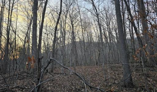 Photo #13 of THOROUGHFARE RD, CULPEPER, VA 3.7 acres