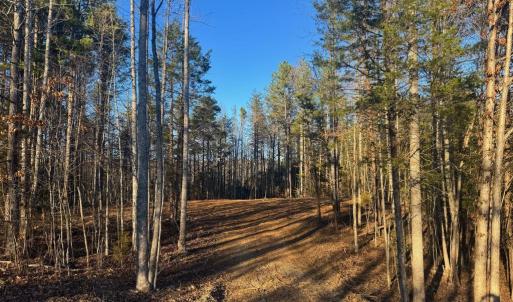 Photo #4 of 541 EQUESTRIAN LANDING TRL, BUMPASS, VA 5.1 acres