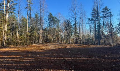 Photo #6 of 541 EQUESTRIAN LANDING TRL, BUMPASS, VA 5.1 acres