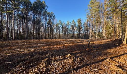 Photo #5 of 541 EQUESTRIAN LANDING TRL, BUMPASS, VA 5.1 acres