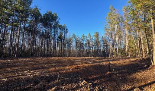 Photo #10 of 541 EQUESTRIAN LANDING TRL, BUMPASS, VA 5.1 acres
