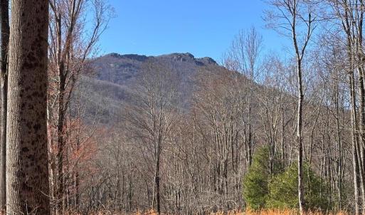 Photo #2 of PINE HILL, SPERRYVILLE, VA 7.9 acres