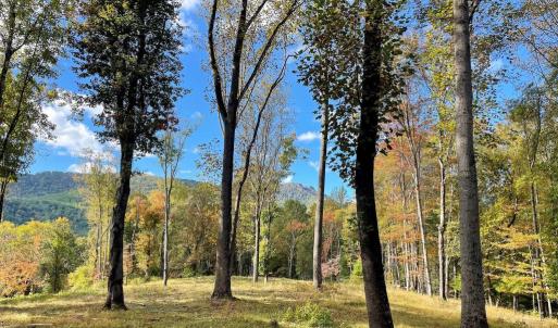 Photo #4 of PINE HILL, SPERRYVILLE, VA 7.9 acres