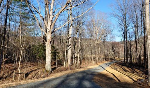 Photo #12 of PINE HILL, SPERRYVILLE, VA 7.9 acres
