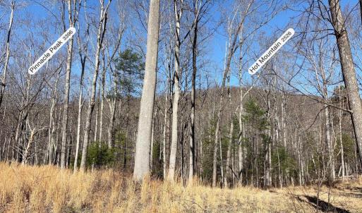 Photo #10 of PINE HILL, SPERRYVILLE, VA 7.9 acres