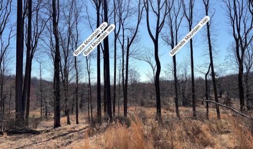 Photo #9 of PINE HILL, SPERRYVILLE, VA 7.9 acres