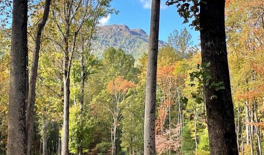 Photo #1 of PINE HILL, SPERRYVILLE, VA 7.9 acres