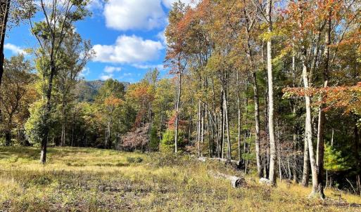 Photo #5 of PINE HILL, SPERRYVILLE, VA 7.9 acres