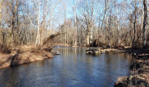 Photo #7 of PINE HILL, SPERRYVILLE, VA 7.9 acres