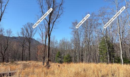 Photo #8 of PINE HILL, SPERRYVILLE, VA 7.9 acres