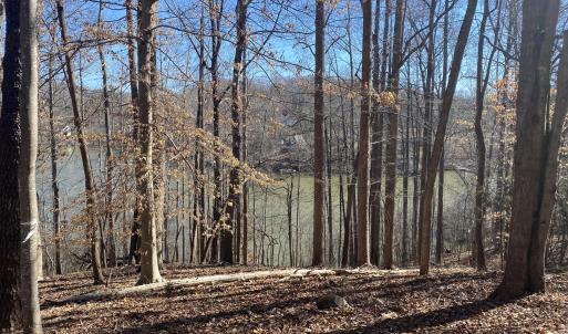 downslope perfect for a walkout lower