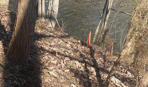 Waterfront newly surveyed 1-023