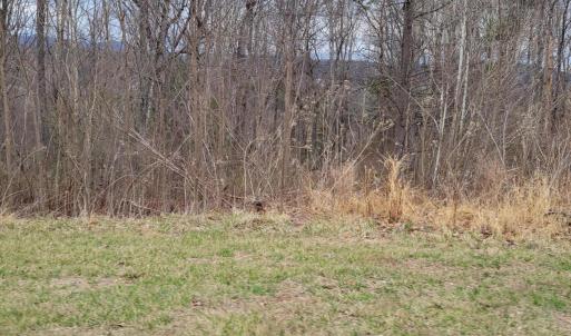OMP Sect 1 Lot 2A.2