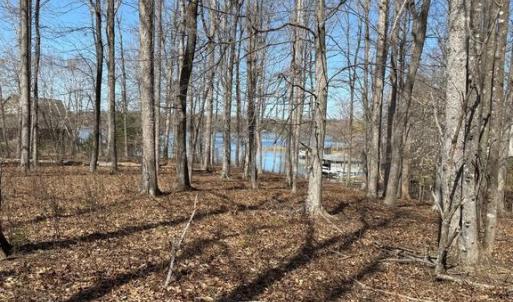 Photo #1 of NEW DAWN CT, BUMPASS, VA 0.9 acres