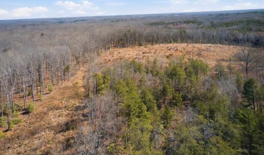 Photo #9 of 402 OAK GROVE DR, MINERAL, VA 35.8 acres