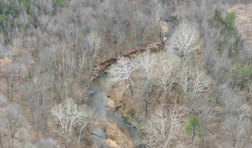 Photo #5 of WEST RIVER ROAD (RT. 6) (TRACT: JR C.B. MOON-1), SCOTTSVILLE, VA 116.0 acres