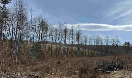 Photo #13 of WEST RIVER ROAD (RT. 6) (TRACT: JR C.B. MOON-1), SCOTTSVILLE, VA 116.0 acres