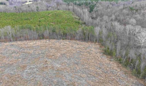 Photo #15 of WEST RIVER ROAD (RT. 6) (TRACT: JR C.B. MOON-1), SCOTTSVILLE, VA 116.0 acres