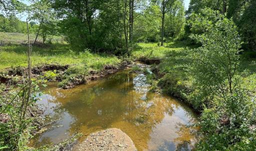 Photo #17 of WEST RIVER ROAD (RT. 6) (TRACT: JR C.B. MOON-1), SCOTTSVILLE, VA 116.0 acres