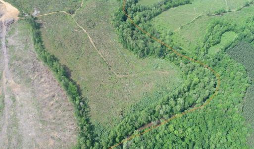 Photo #6 of WEST RIVER ROAD (RT. 6) (TRACT: JR C.B. MOON-1), SCOTTSVILLE, VA 116.0 acres