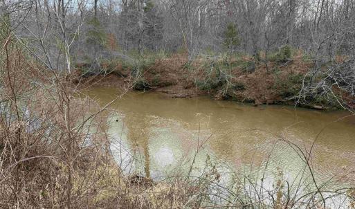 Photo #7 of WEST RIVER ROAD (RT. 6) (TRACT: JR C.B. MOON-1), SCOTTSVILLE, VA 116.0 acres