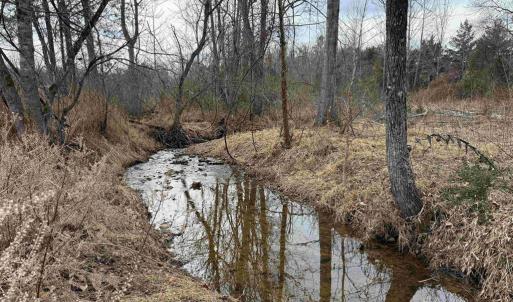 Photo #11 of WEST RIVER ROAD (RT. 6) (TRACT: JR C.B. MOON-1), SCOTTSVILLE, VA 116.0 acres