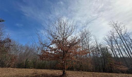 Photo #12 of 14928 DOVEY RD, SPOTSYLVANIA, VA 3.1 acres